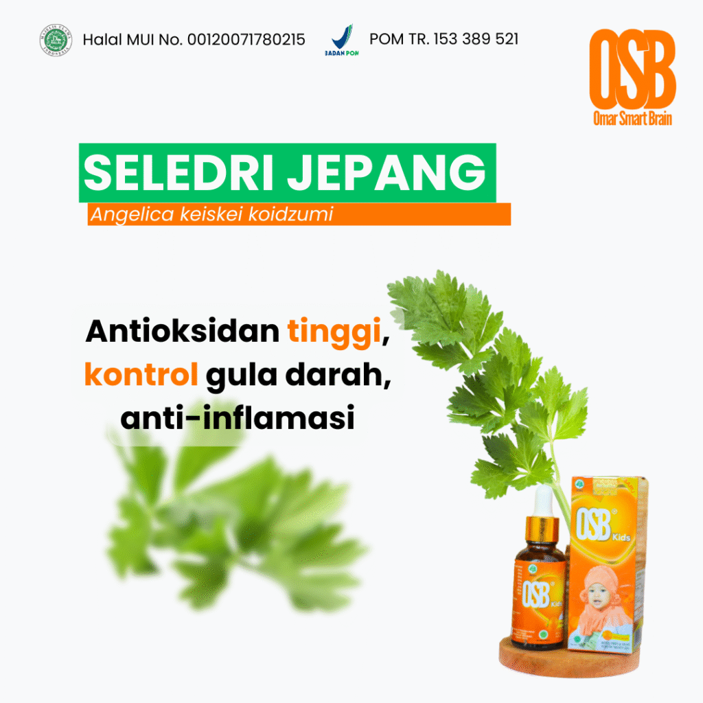 Seledri Jepang