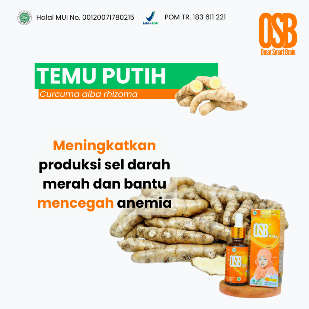 Temu Putih