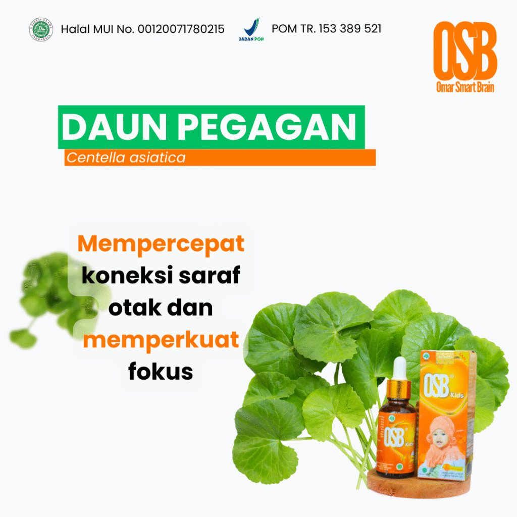 Daun Pegagan