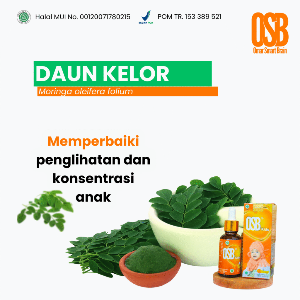 Daun Kelor